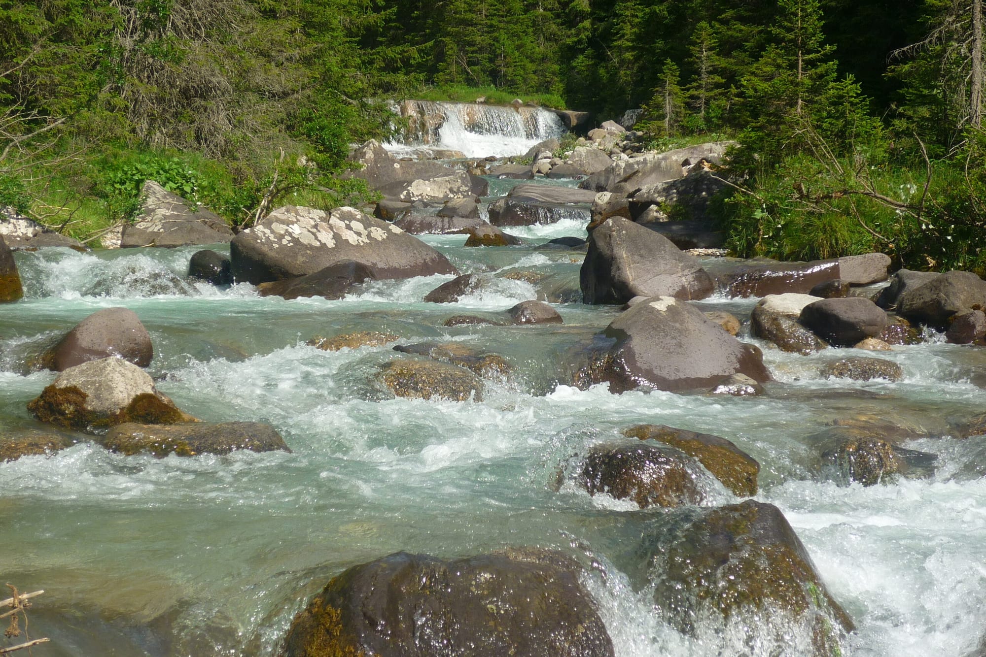 Torrente a Malga Venegiota