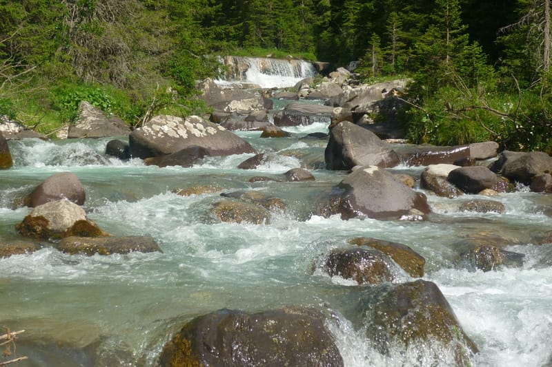 Torrente a Malga Venegiota